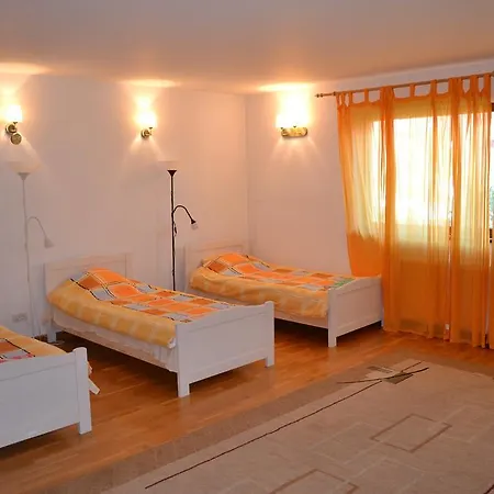 Guest house Swallows' Villa Bucharest