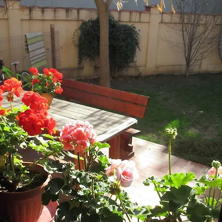 Guest house Swallows' Villa Bucharest