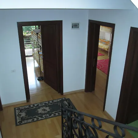 Guest house Swallows' Villa Bucharest
