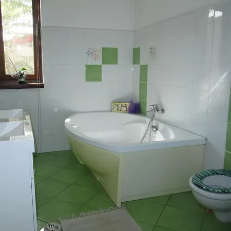 Guest house Swallows' Villa Bucharest